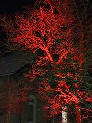 PHOTO-2023-12-01-14-22-27