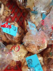 PHOTO-2023-12-01-14-22-34_4