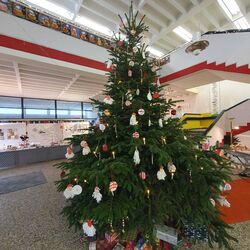 IMG-20251201-WA0043 IMG-20251201-WA0043