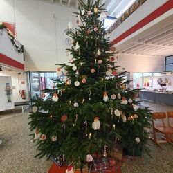 IMG-20251201-WA0034 IMG-20251201-WA0034