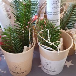 IMG-20251201-WA0018 IMG-20251201-WA0018