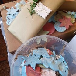 IMG-20251201-WA0029 IMG-20251201-WA0029