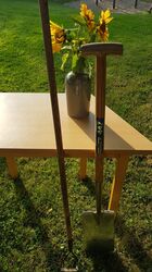 00058106-619B-4F41-BBE5-17E606A0BF41