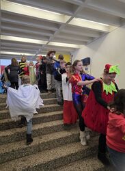 WhatsApp_Image_2026-02-17_at_07.46.07