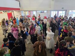 WhatsApp_Image_2026-02-17_at_07.46.29