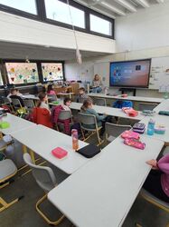 PHOTO-2024-11-15-17-06-11 PHOTO-2024-11-15-17-06-11