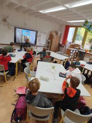 PHOTO-2024-11-15-18-40-29 PHOTO-2024-11-15-18-40-29