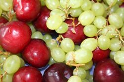 IMG_5220 IMG_5220