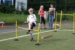 IMG_5227 IMG_5227