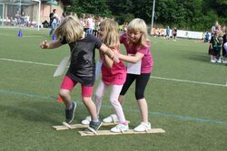 IMG_5229 IMG_5229