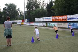 IMG_5231 IMG_5231