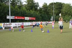 IMG_5233 IMG_5233