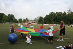 IMG_5237 IMG_5237