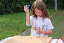 IMG_5239 IMG_5239
