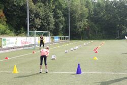 IMG_5248 IMG_5248