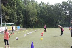 IMG_5249 IMG_5249