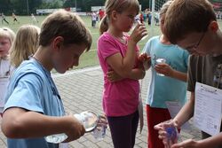 IMG_5262 IMG_5262