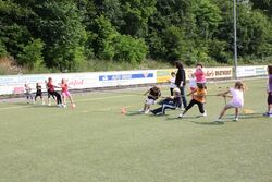 IMG_5265 IMG_5265
