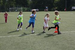 IMG_5267 IMG_5267