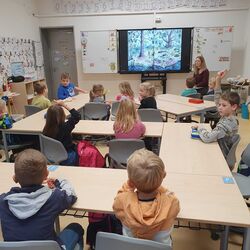 IMG-20251116-WA0003 IMG-20251116-WA0003